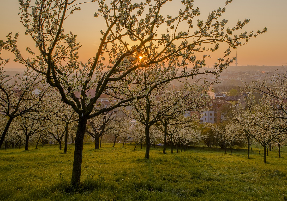 Jarní Praha