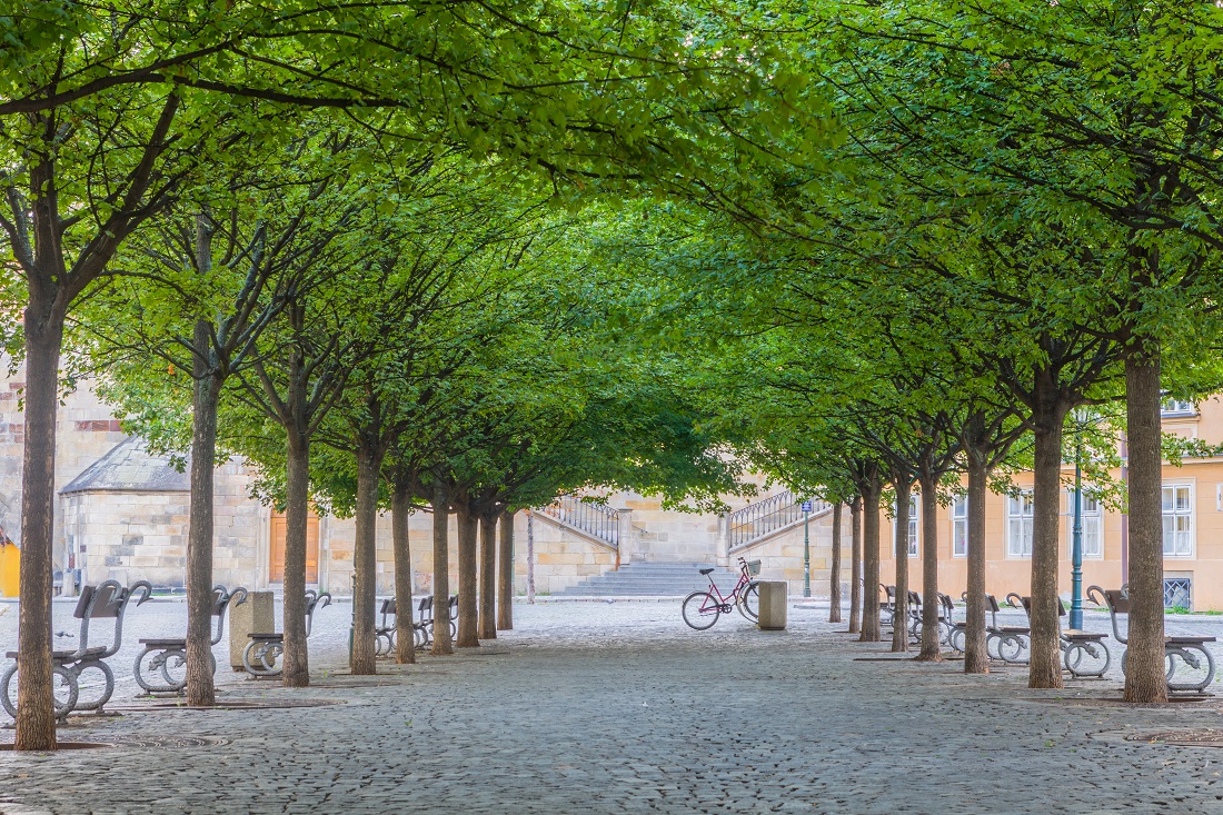 Ostrov Kampa, Praha