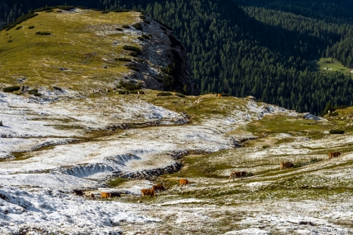 Dolomiten, Italy