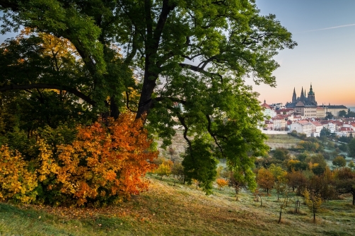 Podzimní ráno v Praze